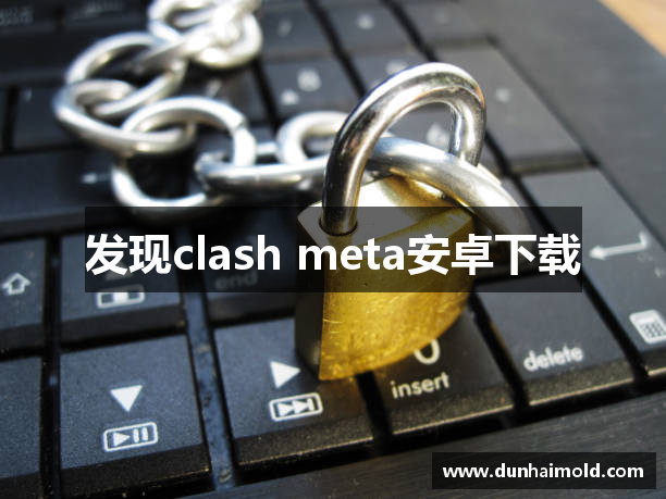 发现clash meta安卓下载